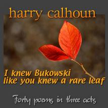 On Writing and Poetry: Harry Calhoun in Conversation